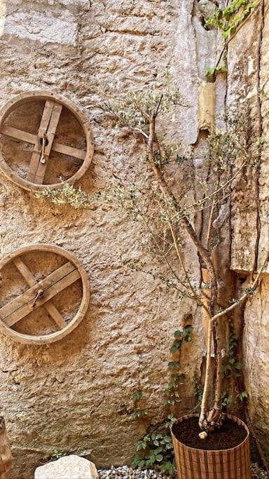 Aux Quatre Voutes Villa Saint-Marcel-d'Ardeche Luaran gambar